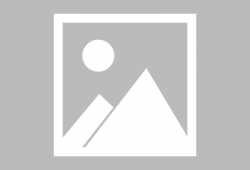 蕃茄视频,短视频时代的潮流引领者