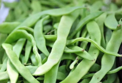 91直播芸豆可以体现么,揭秘直播界的璀璨明珠