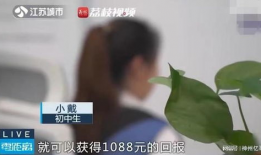 吃瓜爆料群怎么进入的,吃瓜爆料群神秘入口大公开