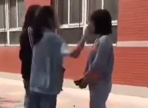 女生被艹视频,女生被艹视频事件引发社会关注